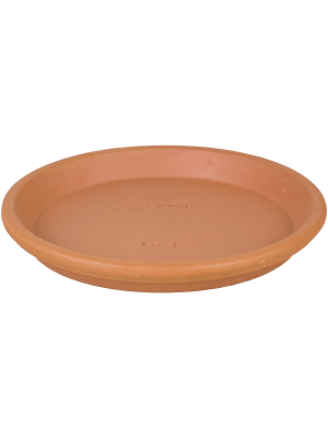 Поддон Terra Cotta Saucer