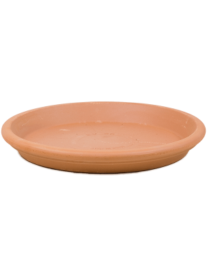 Поддон Terra Cotta Saucer