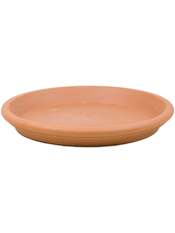 Поддон Terra Cotta Saucer