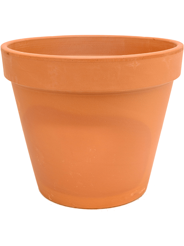 Кашпо Terra Cotta Flowerpot