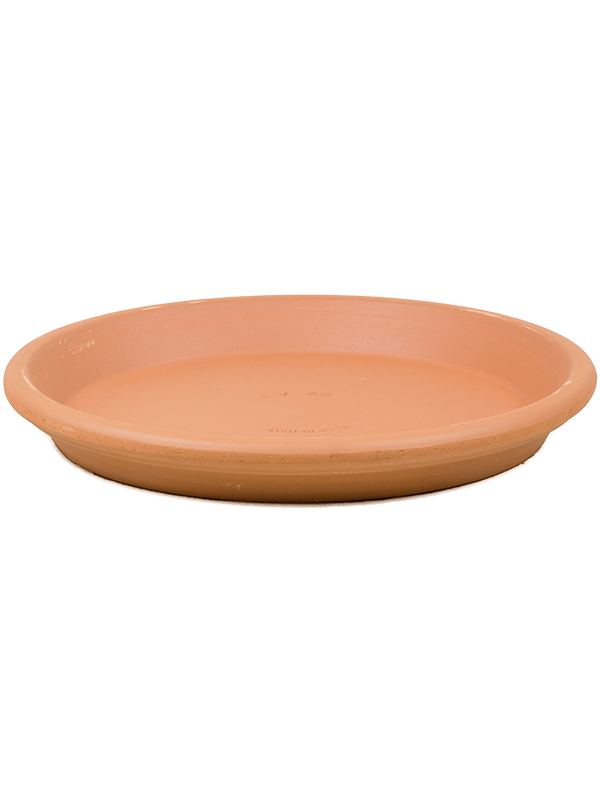 Поддон Terra Cotta Saucer