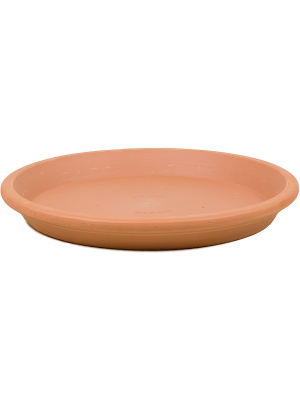 Поддон Terra Cotta Saucer