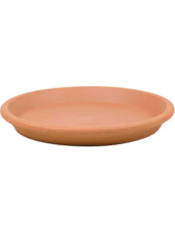 Поддон Terra Cotta Saucer