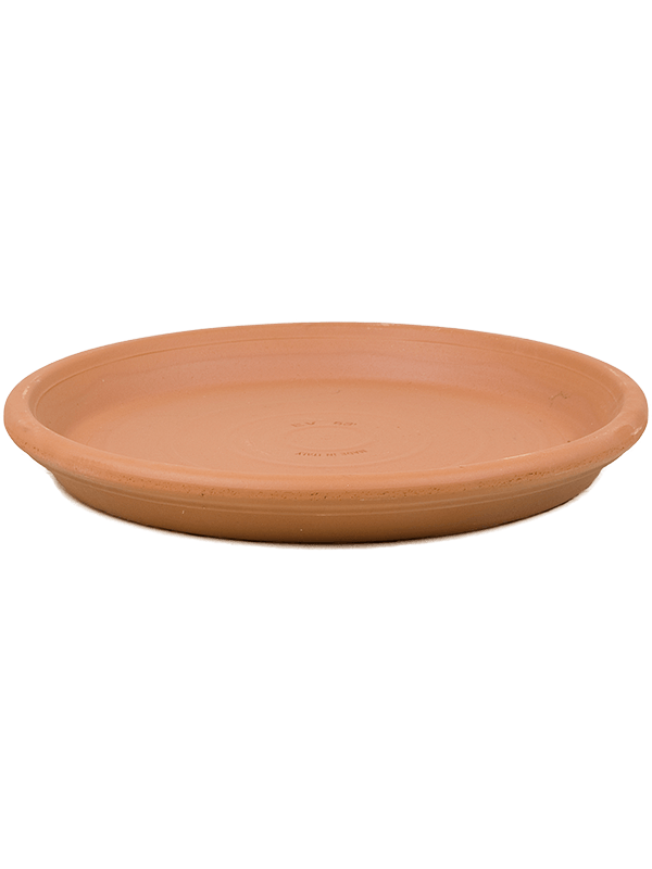 Поддон Terra Cotta Saucer