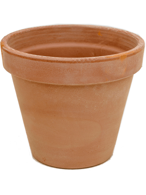 Кашпо Terra Cotta Flowerpot antiques