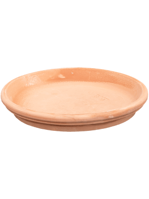 Поддон Terra Cotta Saucer Antiques