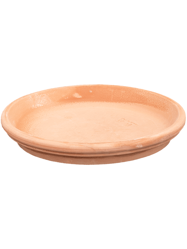 Поддон Terra Cotta Saucer Antiques