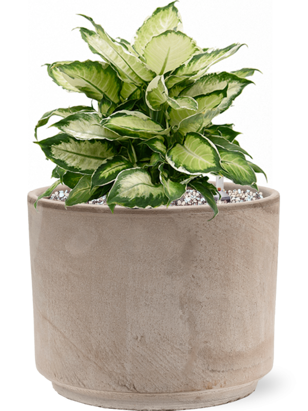 Кашпо Terra Cotta Flowerpot Grey