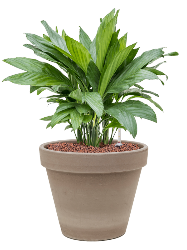 Кашпо Terra Cotta Flowerpot grey