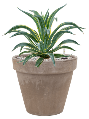 Кашпо Terra Cotta Flowerpot grey