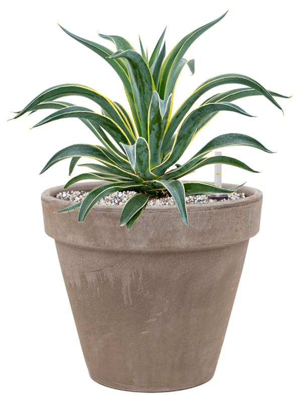 Кашпо Terra Cotta Flowerpot grey