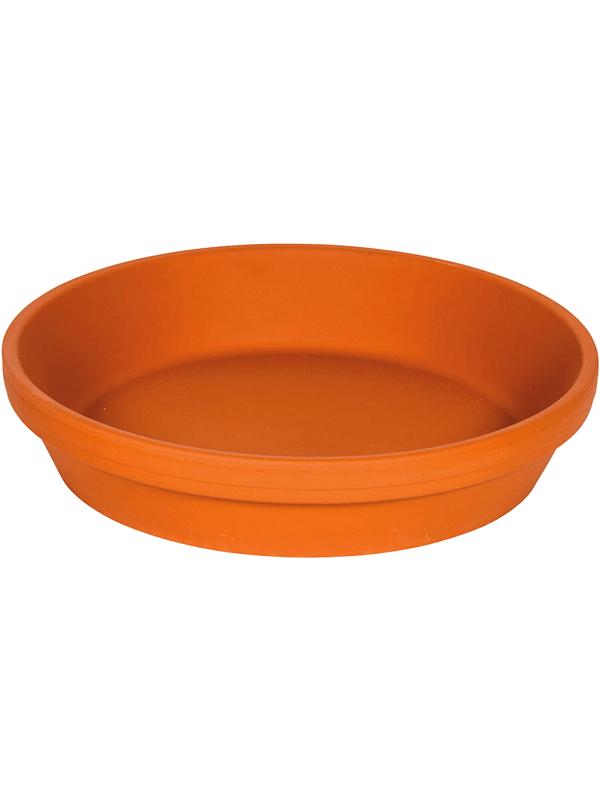 Поддон Terra Cotta Saucer