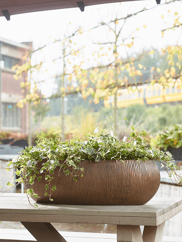 Кашпо Twist Boat planter bronze