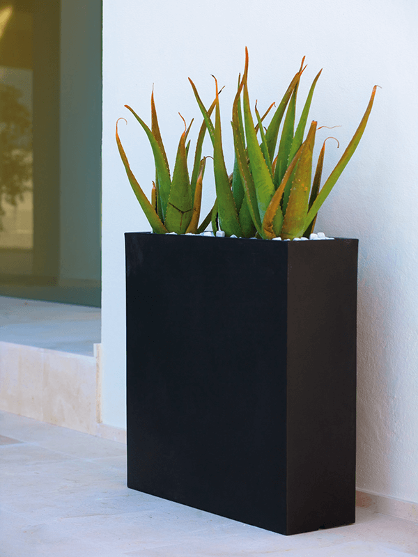 Кашпо Wall Basic Planter