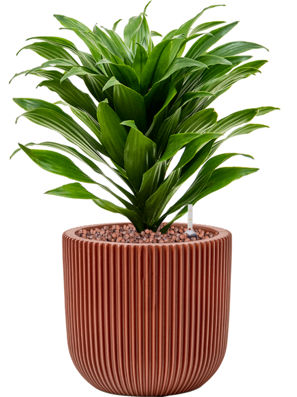 Кашпо Capi Nature Groove Special Planter Ball Merlot Red