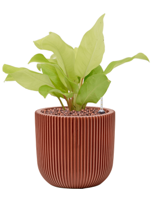 Кашпо Capi Nature Groove Special Planter Ball Merlot Red