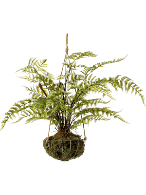 ЯOFF Forest fern On iron stand round hanging