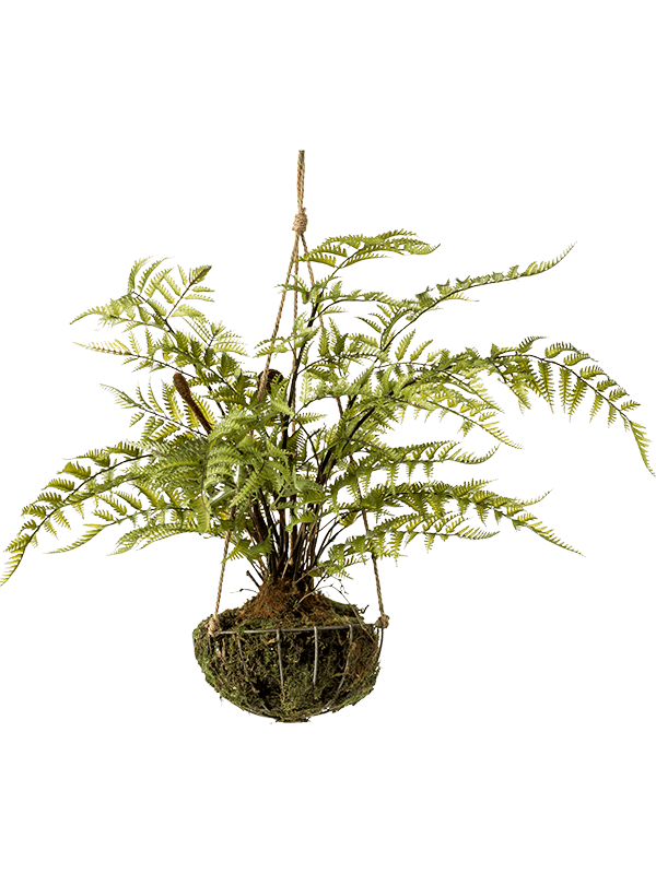 ЯOFF Forest fern On iron stand round hanging