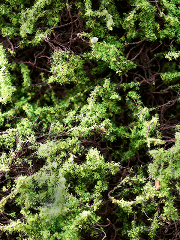 ЯOFF Grass Moss Green/Brown