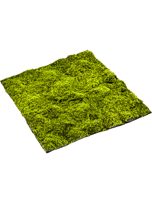 ЯOFF Moss Sphagnum Mat