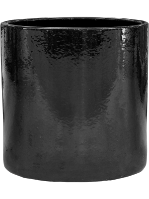 Фикус каучуконосный ‘Робуста’ в кашпо Cylinder