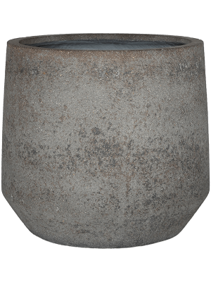 Сансевиерия трёхполосная ‘Лауренти’ в кашпо Cement & Stone