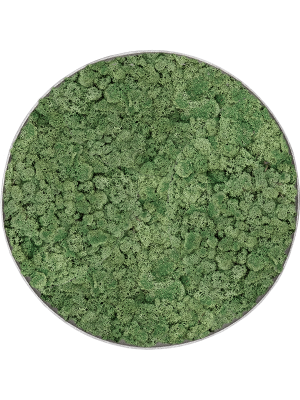 Картина из мха nova frame необработанный бетон 100% ягель (мшисто-зеленый)