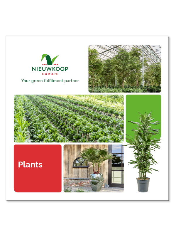 Plants Brochure (6DOCNP024) - купить по лучшей цене в artkashpo.ru