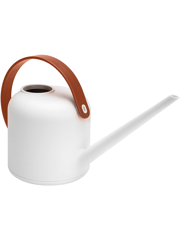 B. For Soft Watering Can