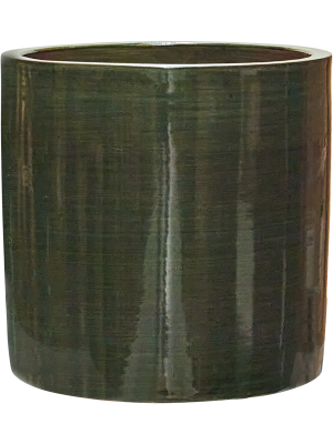 Фикус каучуконосный ‘Робуста’ в кашпо Plain Striped