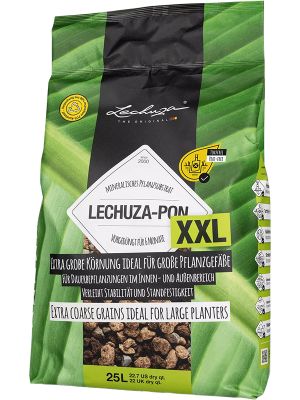 Lechuza