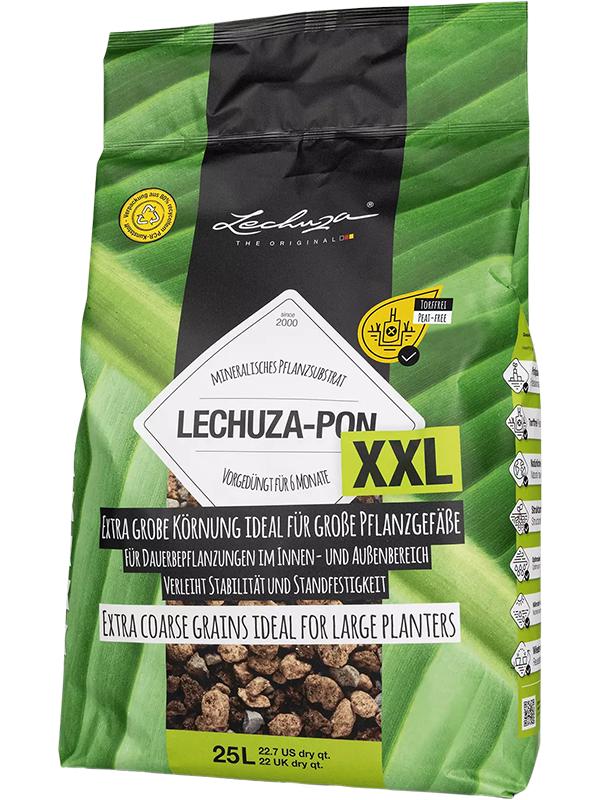 Lechuza