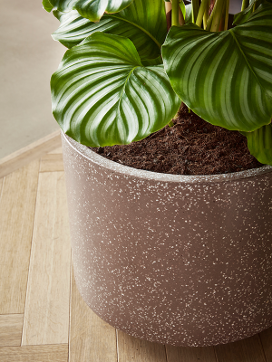 Кашпо Baq Terrazzo Cylinder Mocha