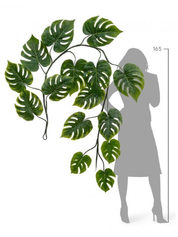 НЕТ НА САЙТЕ У ТРИЗОВ ФОТО Монстера лиана дл-240 см 15 листов (Sensitive Botanic) 6/24